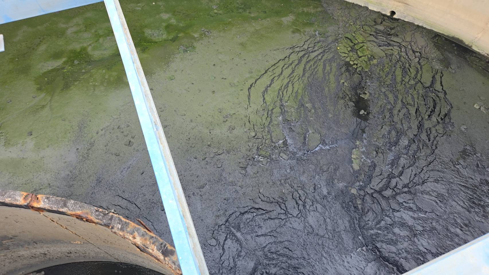 高雄沿海工業污水處理廠抽汚泥